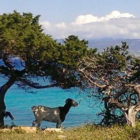 Feriehus Philip's House