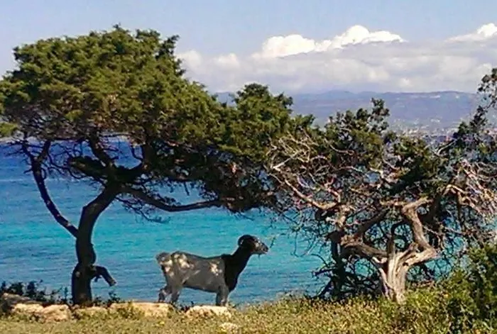 別荘 Philip's House