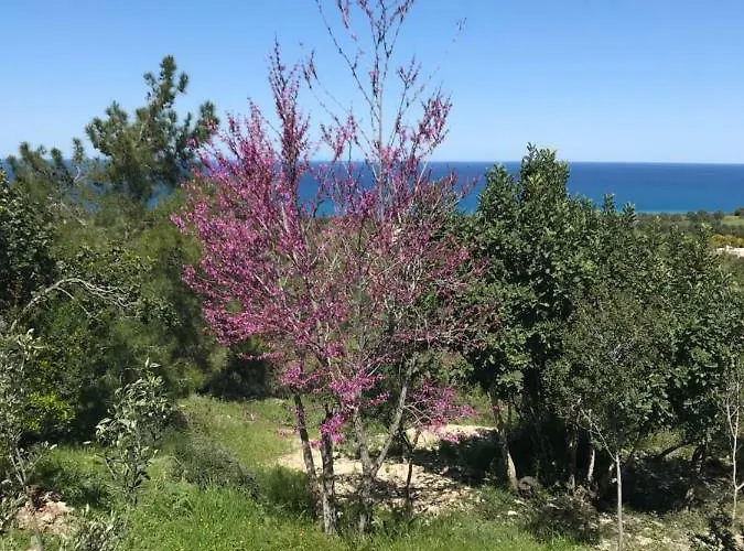 別荘 Philip's House *